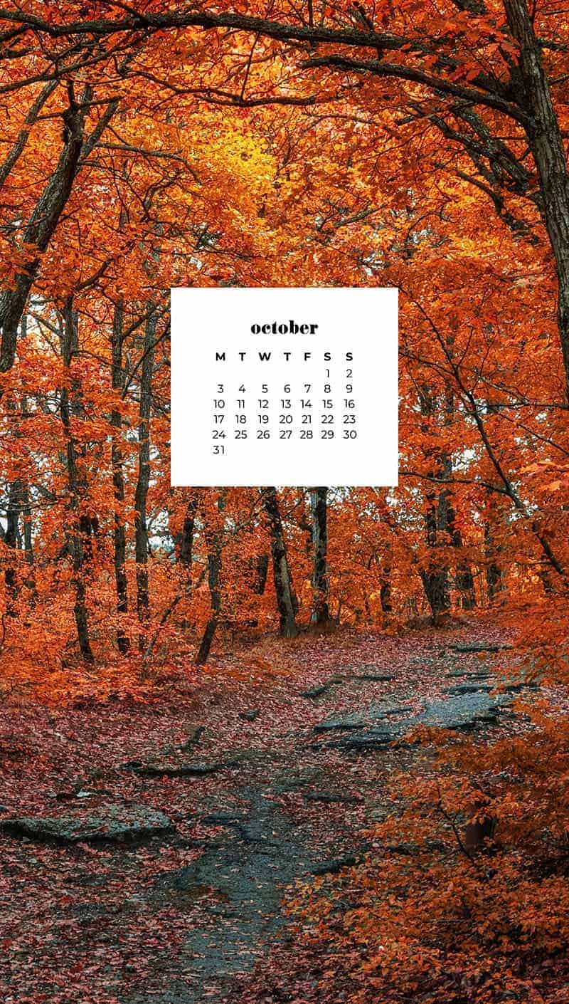 OCTOBER 2022 WALLPAPERS – 55 FREE PHONE &#038; DESKTOP CALENDARS, Oh So Lovely Blog