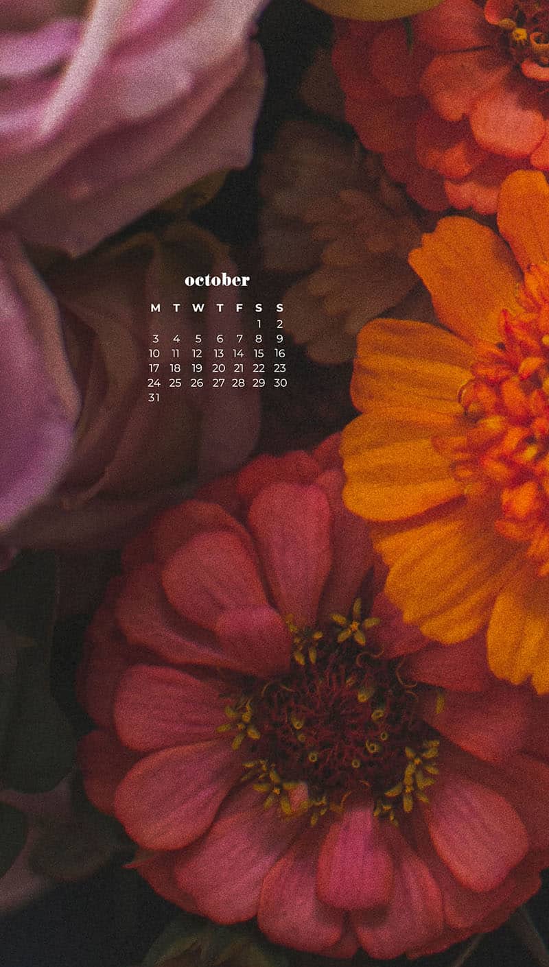 OCTOBER 2022 WALLPAPERS – 55 FREE PHONE &#038; DESKTOP CALENDARS, Oh So Lovely Blog