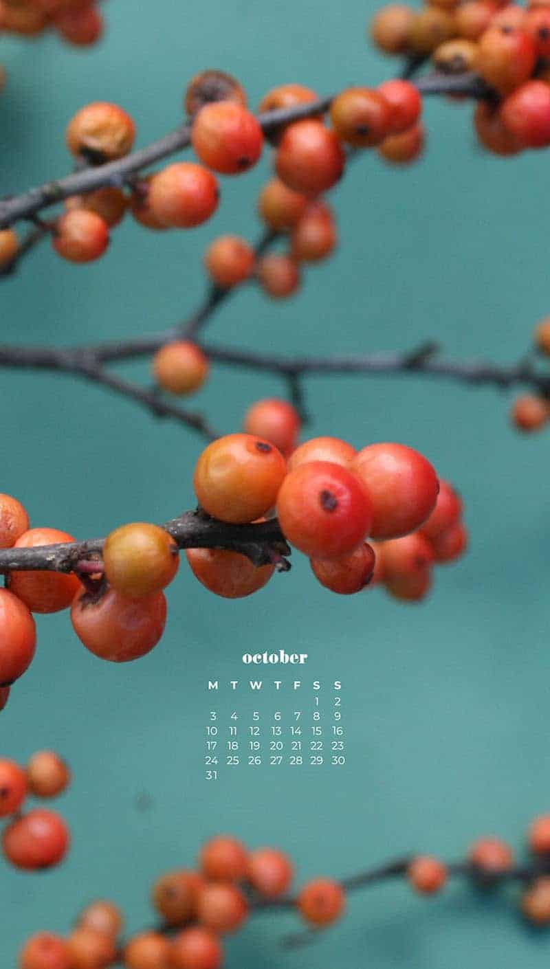 OCTOBER 2022 WALLPAPERS – 55 FREE PHONE &#038; DESKTOP CALENDARS, Oh So Lovely Blog