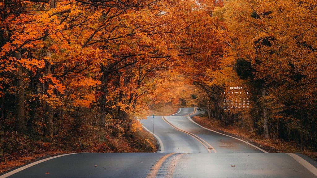 pretty winding road surrounded by colorful fall trees October 2022 wallpapers – FREE calendars in Sunday & Monday starts + no-calendar designs. 55 beautiful options for desktop & smart phones!