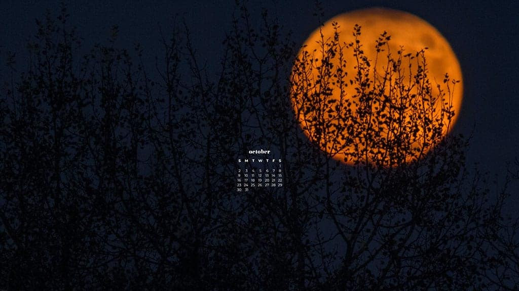 Full moon against dark sky and trees October 2022 wallpapers – FREE calendars in Sunday & Monday starts + no-calendar designs. 55 beautiful options for desktop & smart phones!