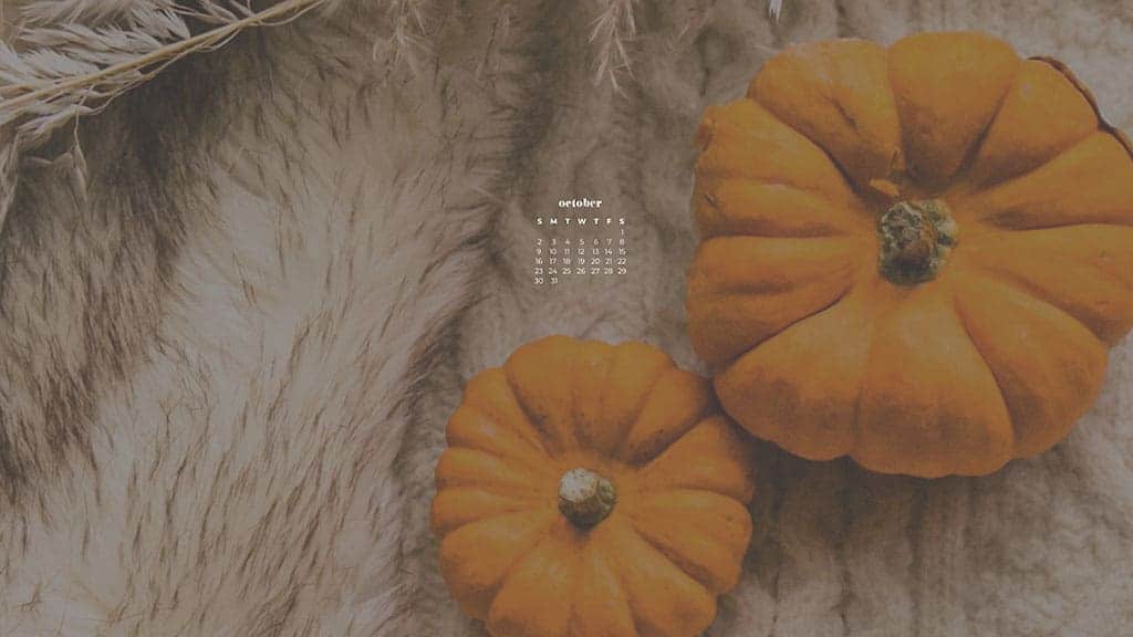 two small orange pumpkins on a soft cozy gray blanket October 2022 wallpapers – FREE calendars in Sunday & Monday starts + no-calendar designs. 55 beautiful options for desktop & smart phones!