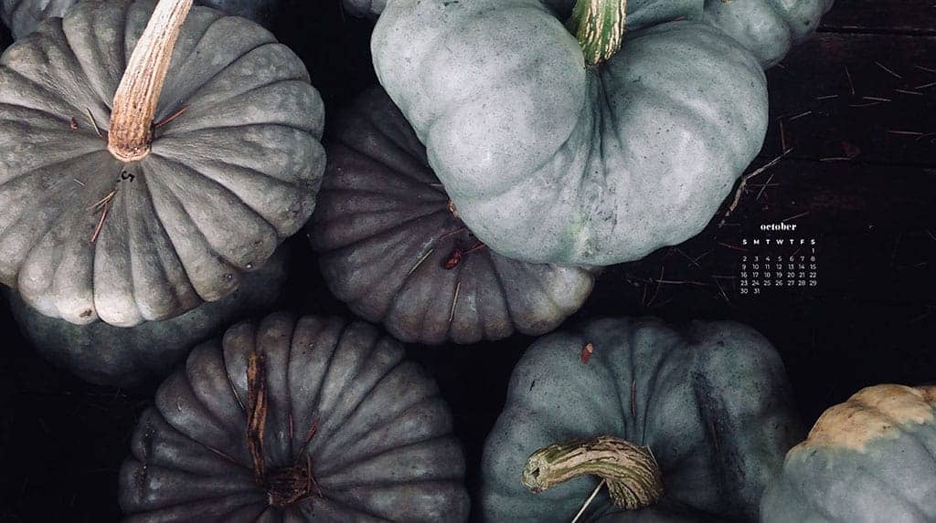 aerial view of green and gray pumpkins October 2022 wallpapers – FREE calendars in Sunday & Monday starts + no-calendar designs. 55 beautiful options for desktop & smart phones!