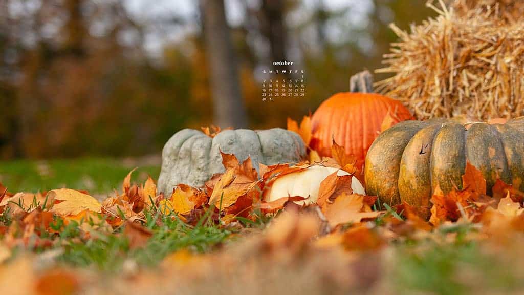 pretty fall season with pumpkins and hay bales October 2022 wallpapers – FREE calendars in Sunday & Monday starts + no-calendar designs. 55 beautiful options for desktop & smart phones!