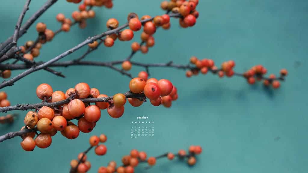 coral colored berries on turquoise background October 2022 wallpapers – FREE calendars in Sunday & Monday starts + no-calendar designs. 55 beautiful options for desktop & smart phones!