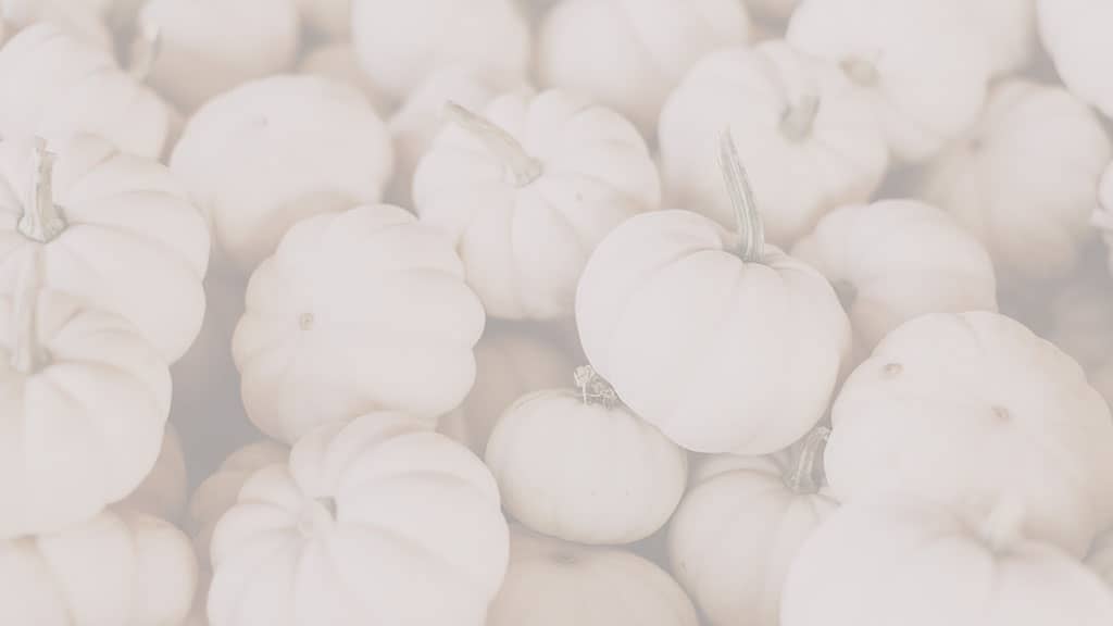 piles of small white pumpkins
