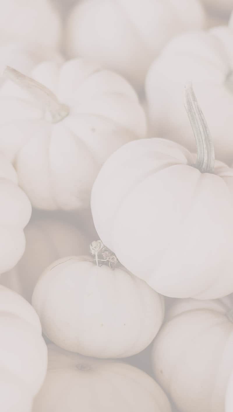 piles of small white pumpkins