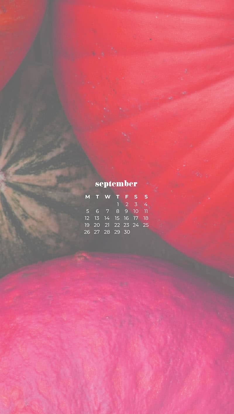 piles of pink pumpkins September wallpapers 2022 – FREE calendars in Sunday & Monday starts + no-calendar designs. 55 beautiful options for desktop & smart phones!