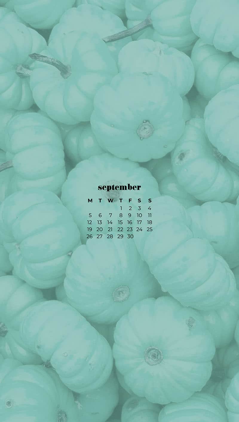 piles of small aqua pumpkins September wallpapers 2022 – FREE calendars in Sunday & Monday starts + no-calendar designs. 55 beautiful options for desktop & smart phones!