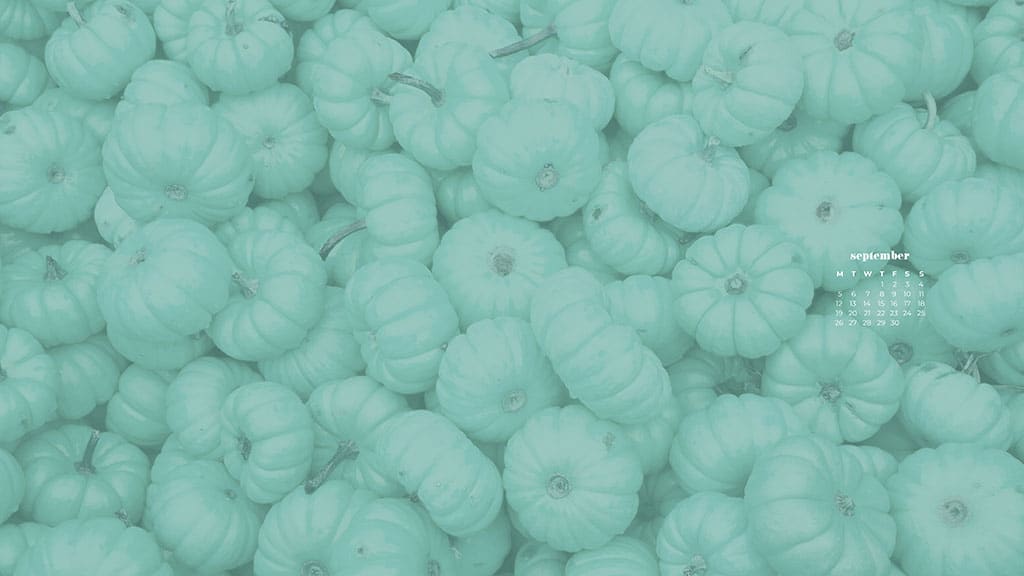 piles of small aqua pumpkins