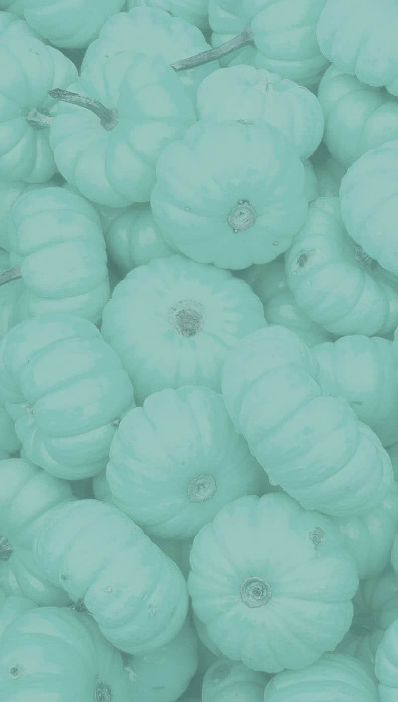 piles of small aqua pumpkins