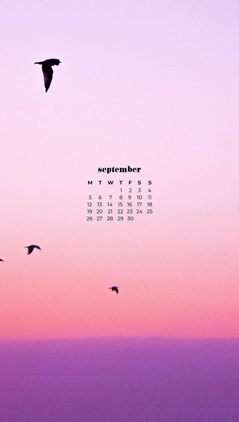 birds in a pink and purple sunset sky September wallpapers 2022– FREE calendars in Sunday & Monday starts + no-calendar designs. 55 beautiful options for desktop & smart phones!