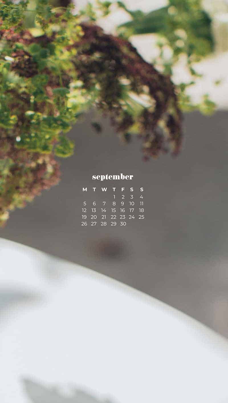 pretty fall flowers in a vase September wallpapers – FREE calendars in Sunday & Monday starts + no-calendar designs. 55 beautiful options for desktop & smart phones!