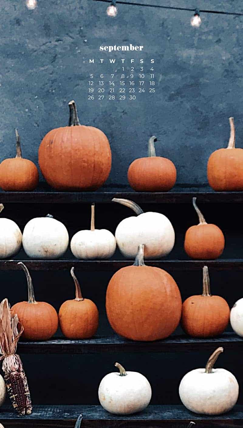 shelves of pumpkins in orange and white with cafe lights September wallpapers – FREE calendars in Sunday & Monday starts + no-calendar designs. 55 beautiful options for desktop & smart phones!