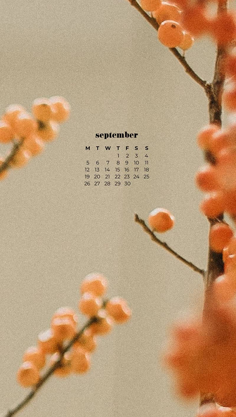 orange berries on cream background September wallpapers – FREE calendars in Sunday & Monday starts + no-calendar designs. 55 beautiful options for desktop & smart phones!