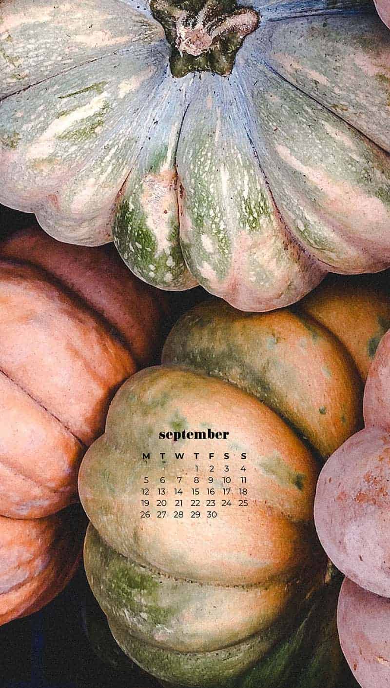 piles of peach and cream pumpkins September wallpapers – FREE calendars in Sunday & Monday starts + no-calendar designs. 55 beautiful options for desktop & smart phones!