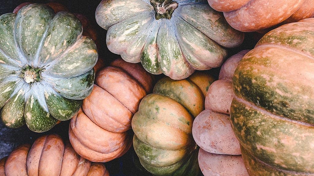 piles of peach and green pumpkins