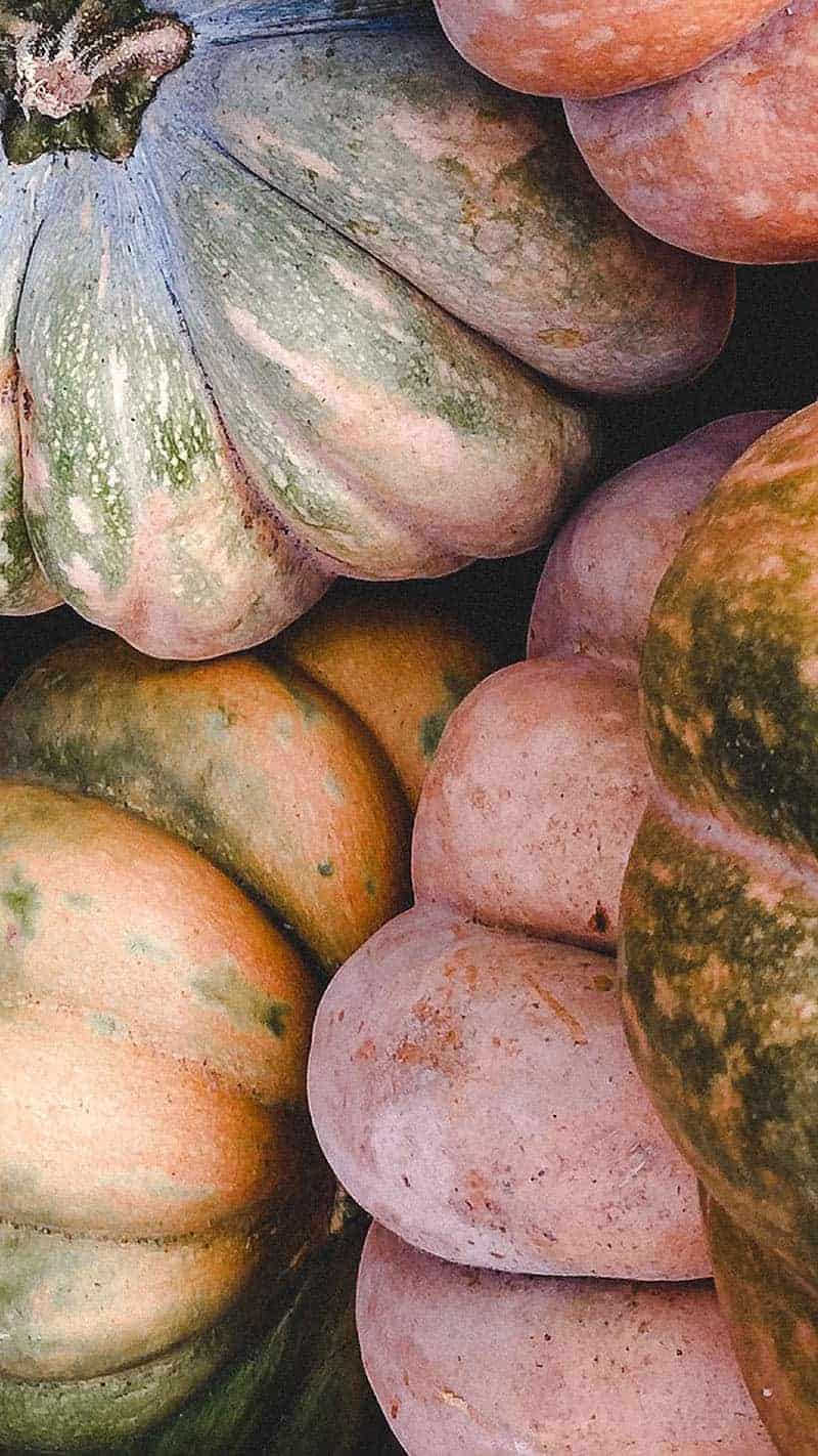 piles of cream and peach pumpkins 