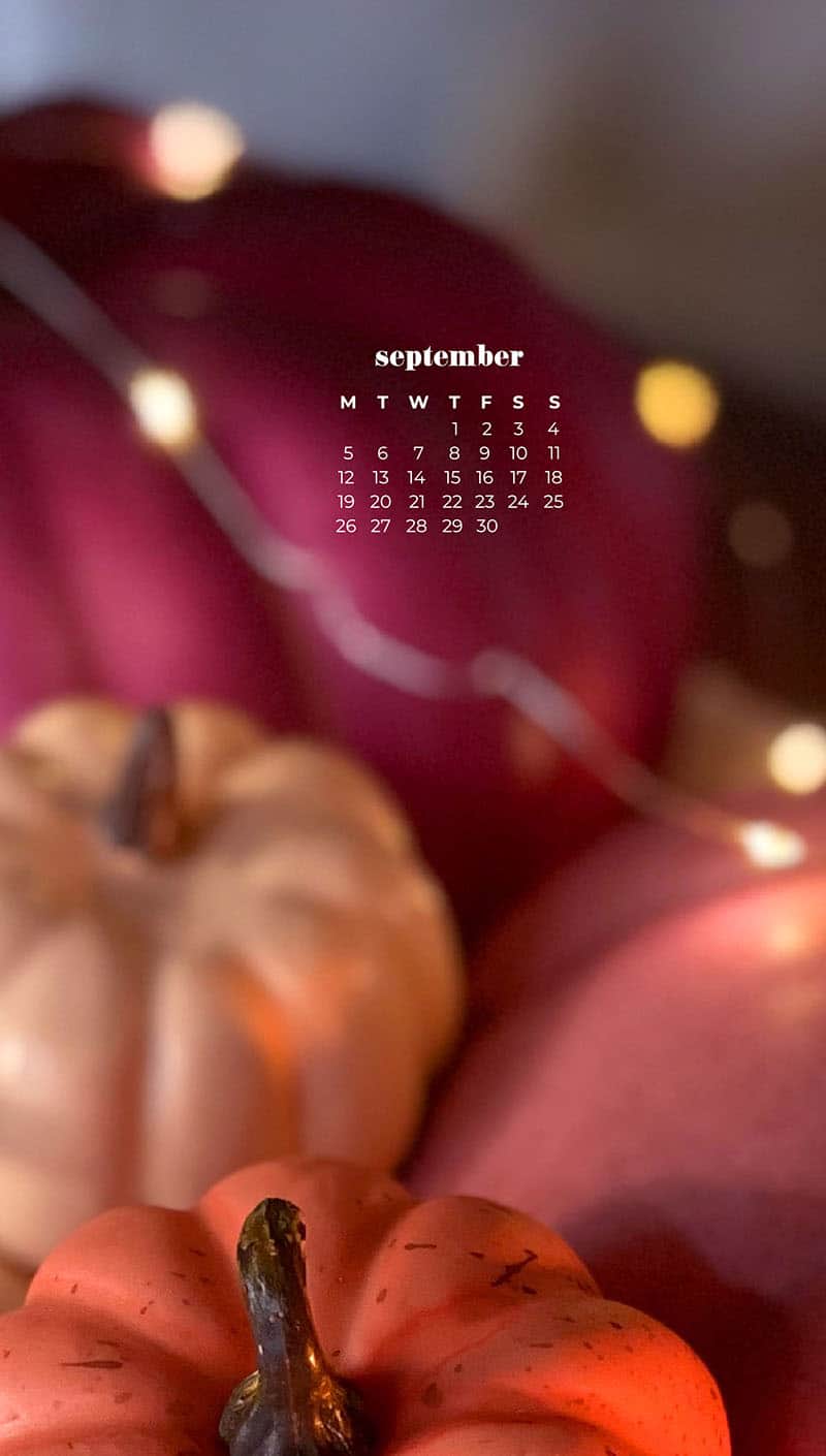 colorful pumpkins with fairy lights 