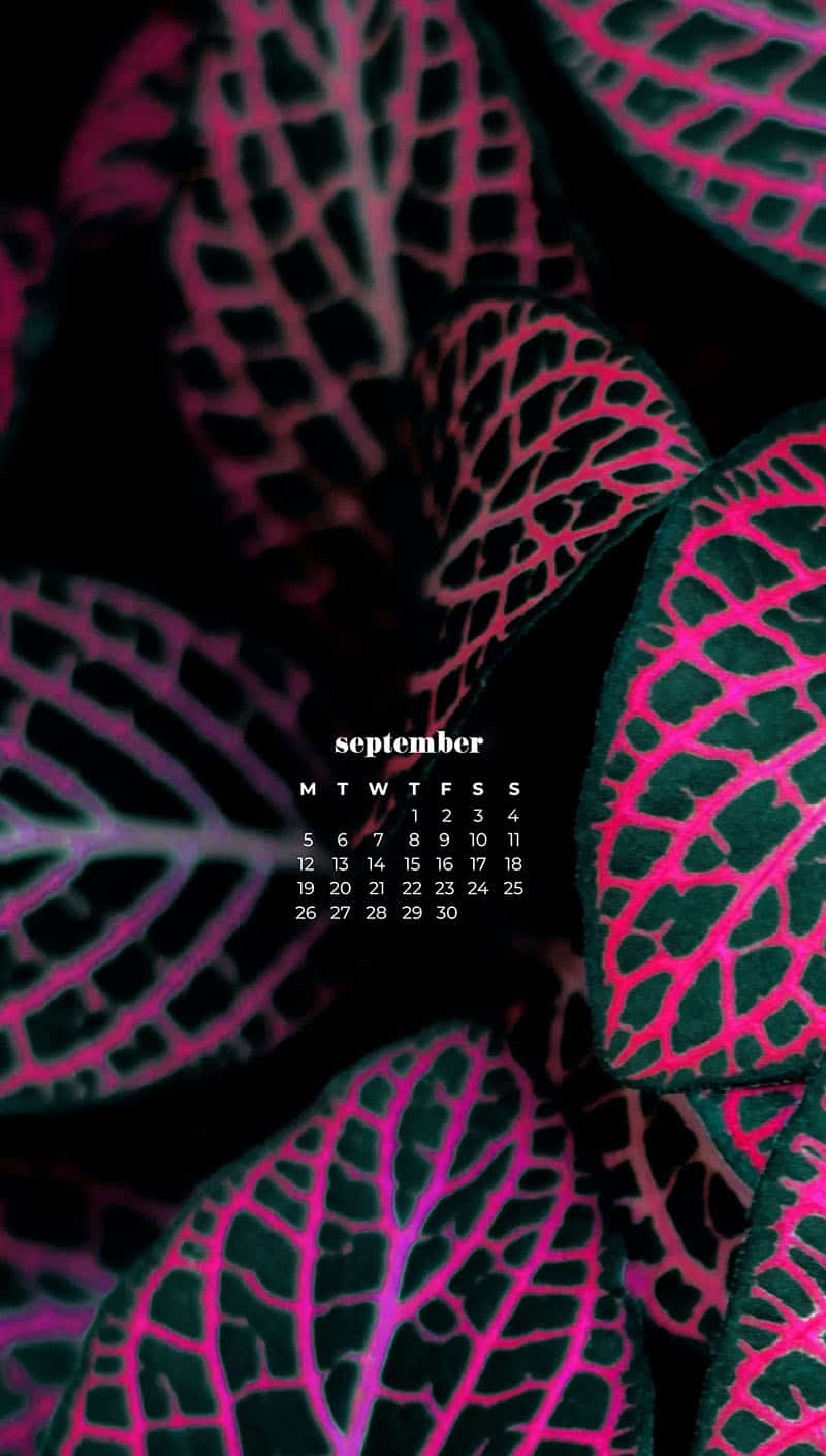 colorful pink and green fall plants September wallpapers – FREE calendars in Sunday & Monday starts + no-calendar designs. 55 beautiful options for desktop & smart phones!