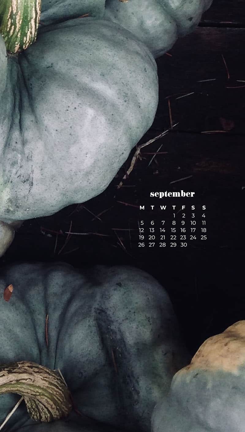 piles of gray and green pumpkins September wallpapers – FREE calendars in Sunday & Monday starts + no-calendar designs. 55 beautiful options for desktop & smart phones!