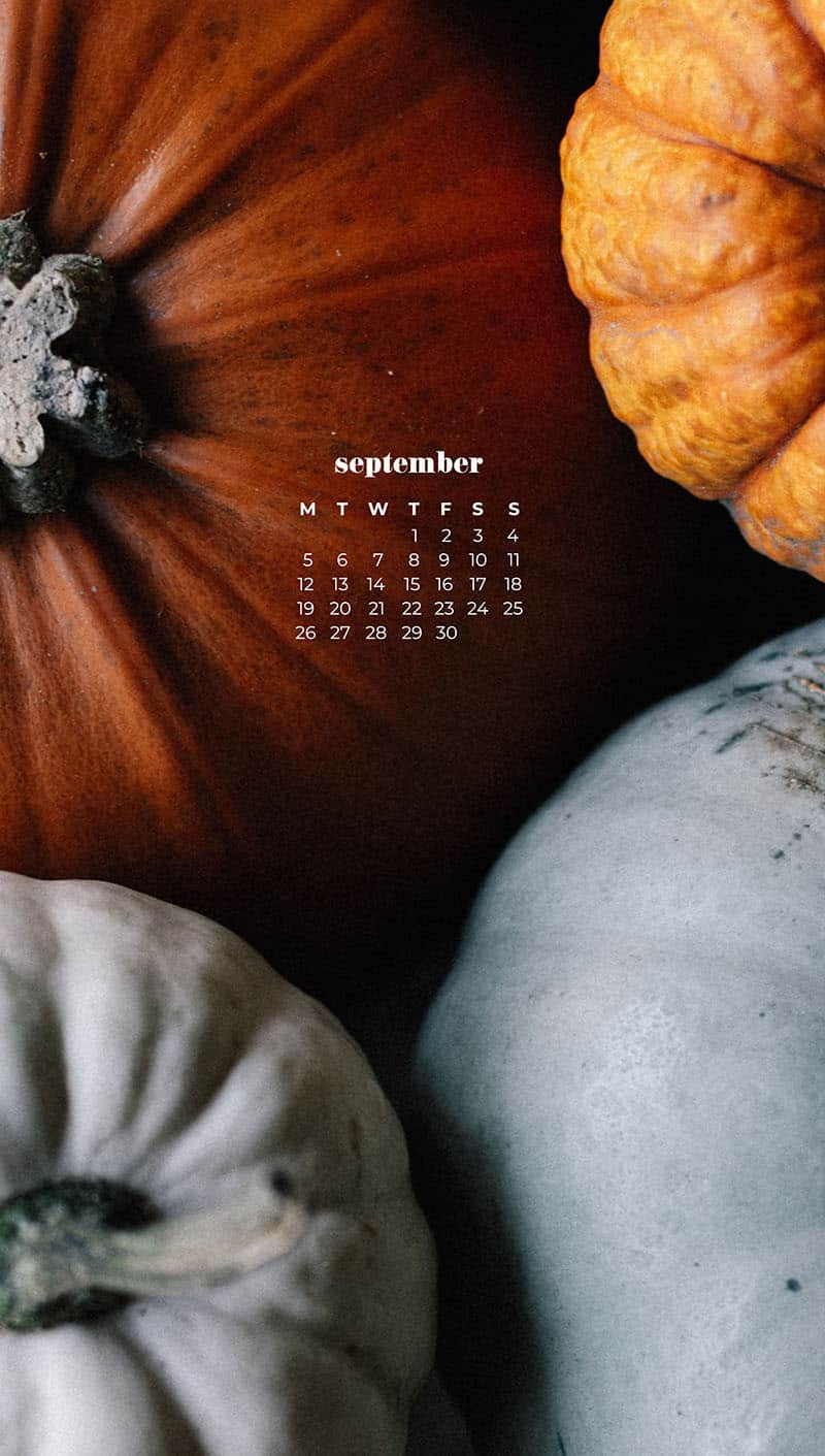 piles of orange and aqua pumpkins September wallpapers – FREE calendars in Sunday & Monday starts + no-calendar designs. 55 beautiful options for desktop & smart phones!