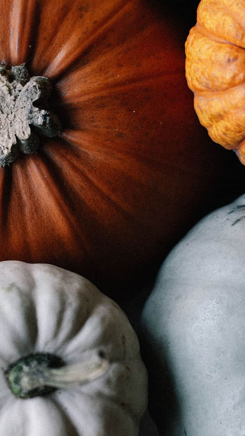 piles of orange and aqua pumpkins