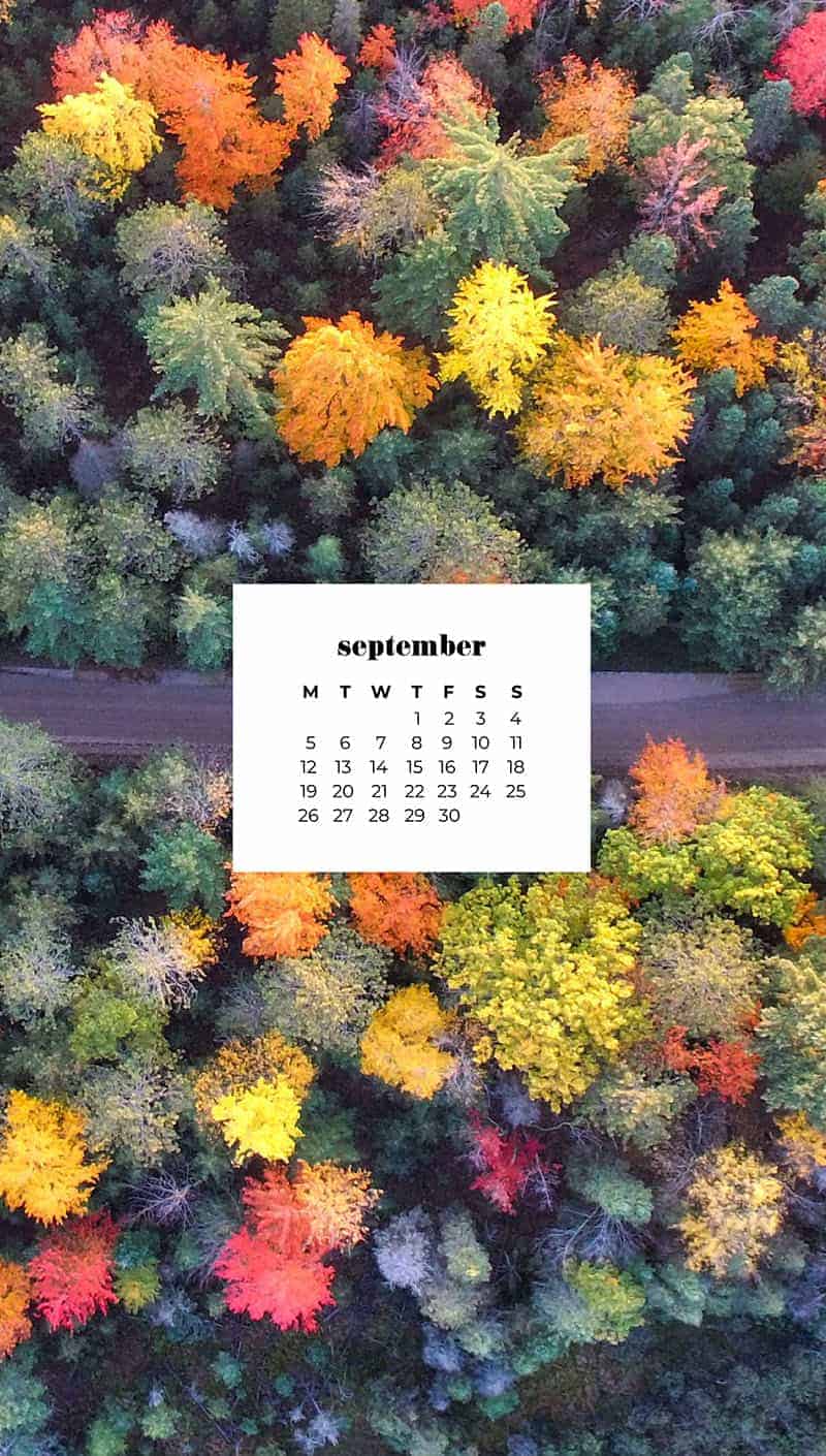 aerial view of fall trees in various colors September wallpapers – FREE calendars in Sunday & Monday starts + no-calendar designs. 55 beautiful options for desktop & smart phones!