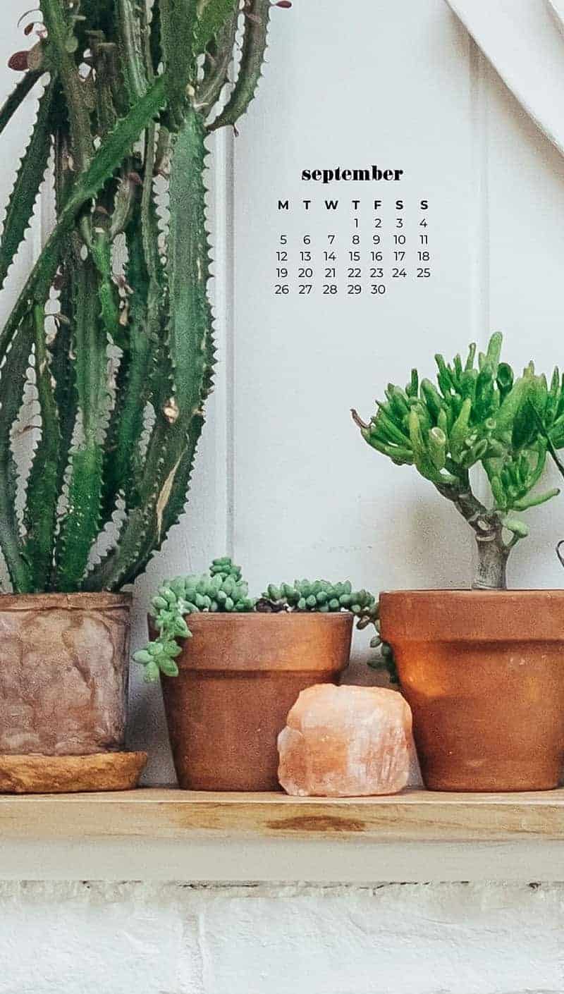 plants on a mantel with salt lamps September wallpapers – FREE calendars in Sunday & Monday starts + no-calendar designs. 55 beautiful options for desktop & smart phones!