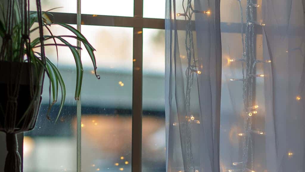 plant and window sheers with fairy lights 