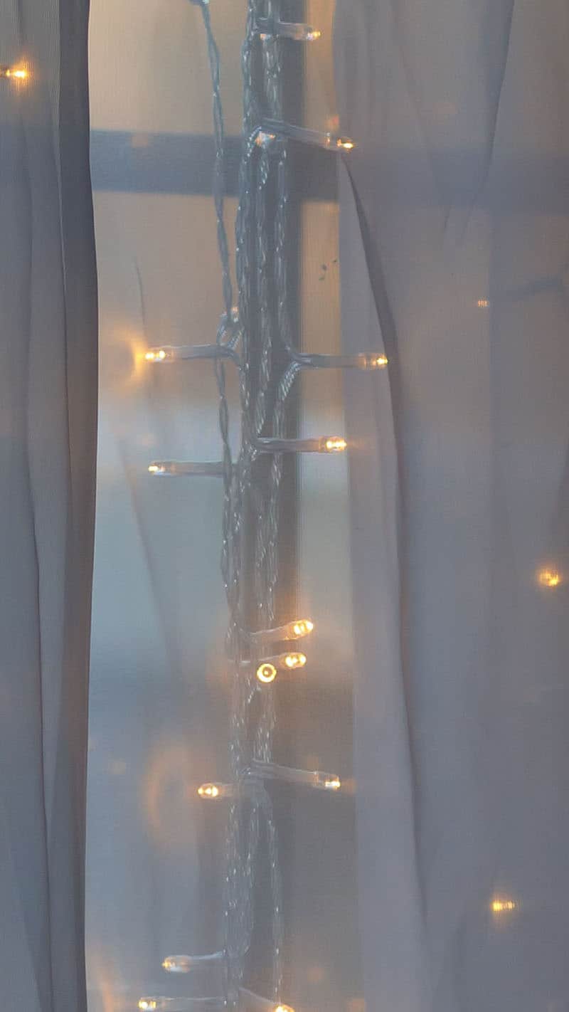 plant and window sheers with fairy lights 