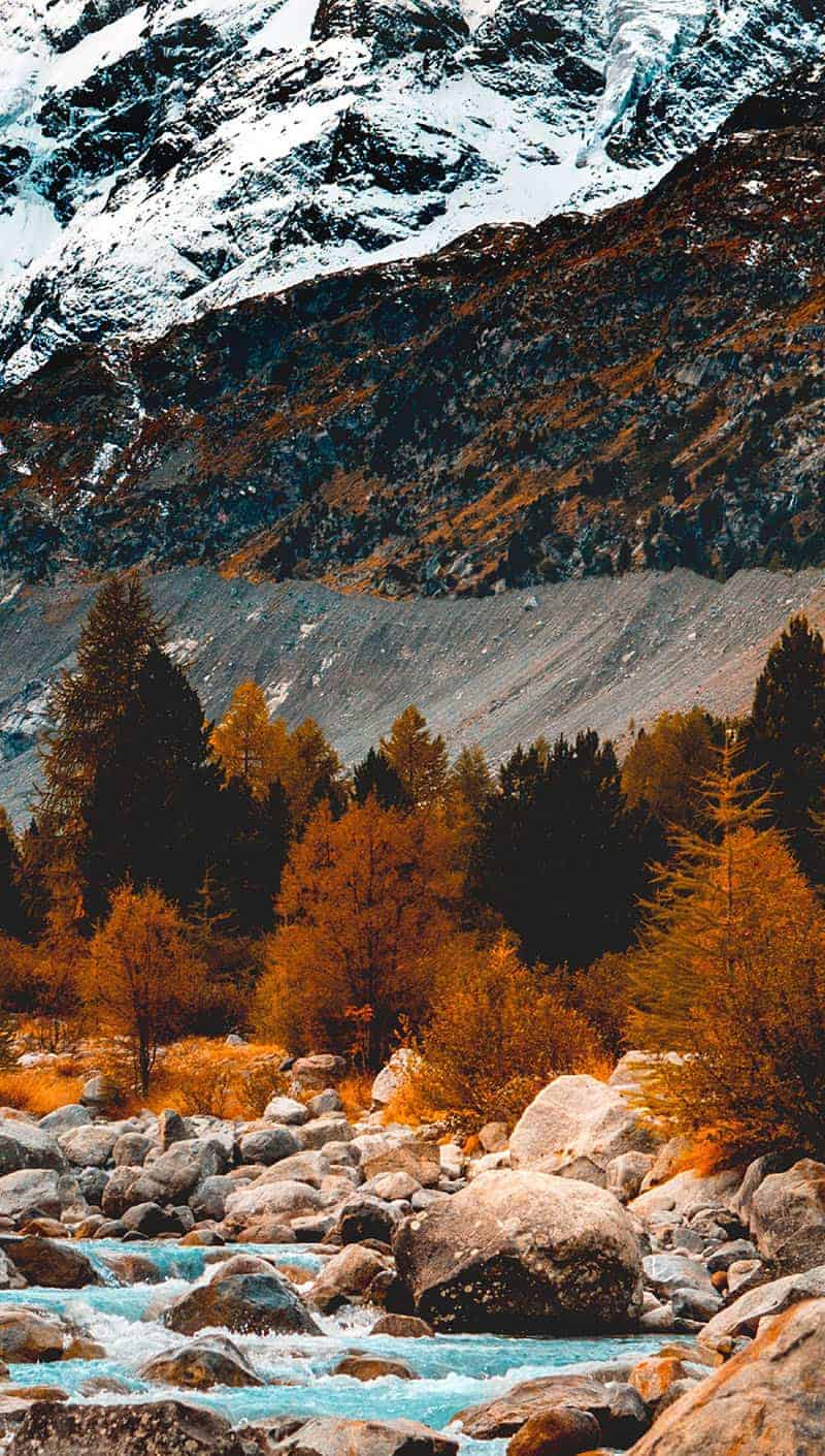 fall trees in bright colors by mountains 