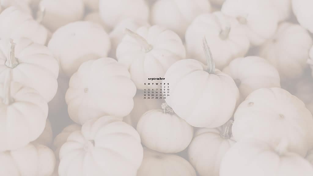 piles of small white pumpkins September 2022 wallpapers – FREE calendars in Sunday & Monday starts + no-calendar designs. 55 beautiful options for desktop & smart phones!
