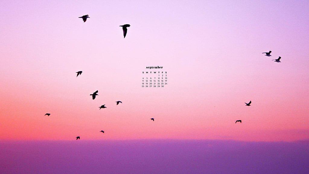 birds in a pink and purple sunset sky September 2022 wallpapers – FREE calendars in Sunday & Monday starts + no-calendar designs. 55 beautiful options for desktop & smart phones!