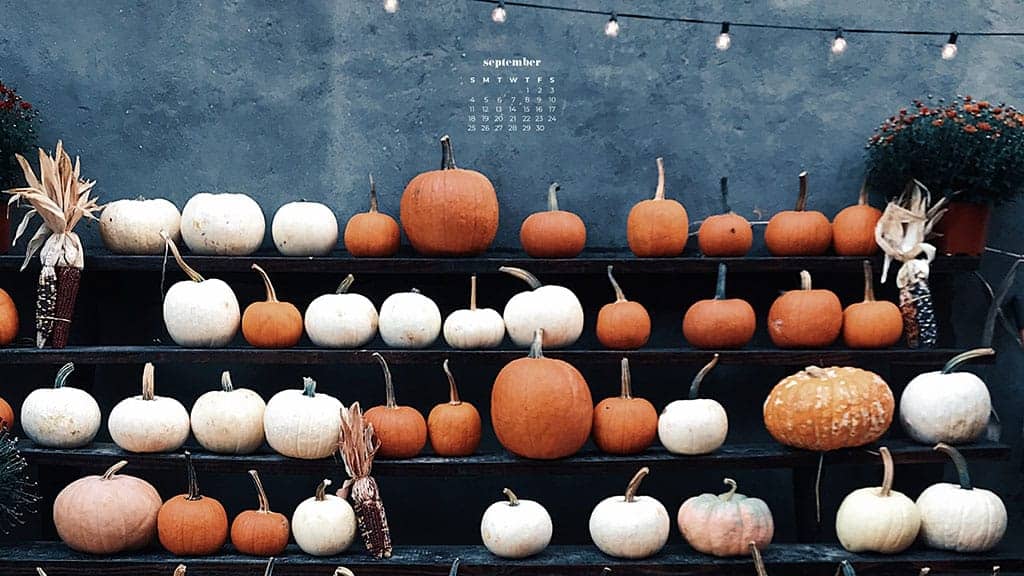 shelves of pumpkins in orange and white with cafe lights September 2022 wallpapers – FREE calendars in Sunday & Monday starts + no-calendar designs. 55 beautiful options for desktop & smart phones!