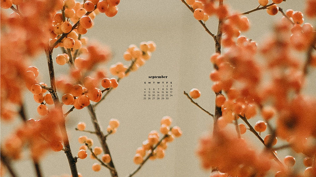 orange berries on cream background September 2022 wallpapers – FREE calendars in Sunday & Monday starts + no-calendar designs. 55 beautiful options for desktop & smart phones!