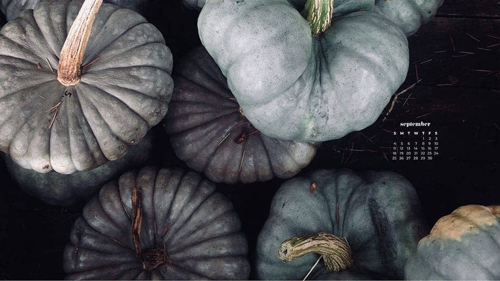 blue, aqua, and gray pumpkins stacked September 2022 wallpapers – FREE calendars in Sunday & Monday starts + no-calendar designs. 55 beautiful options for desktop & smart phones!