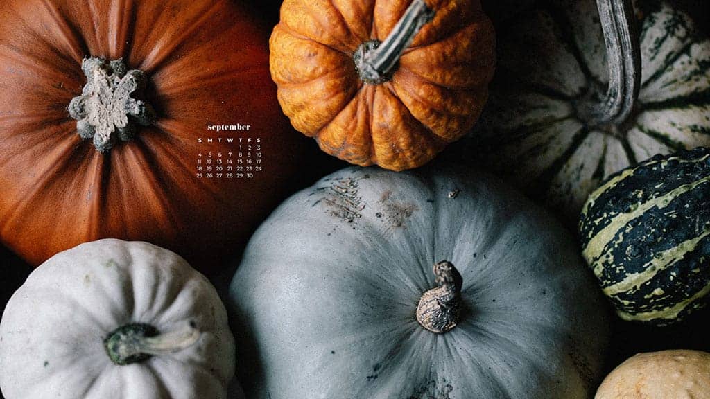 pumpkin pile in aqua and orange September 2022 wallpapers – FREE calendars in Sunday & Monday starts + no-calendar designs. 55 beautiful options for desktop & smart phones!