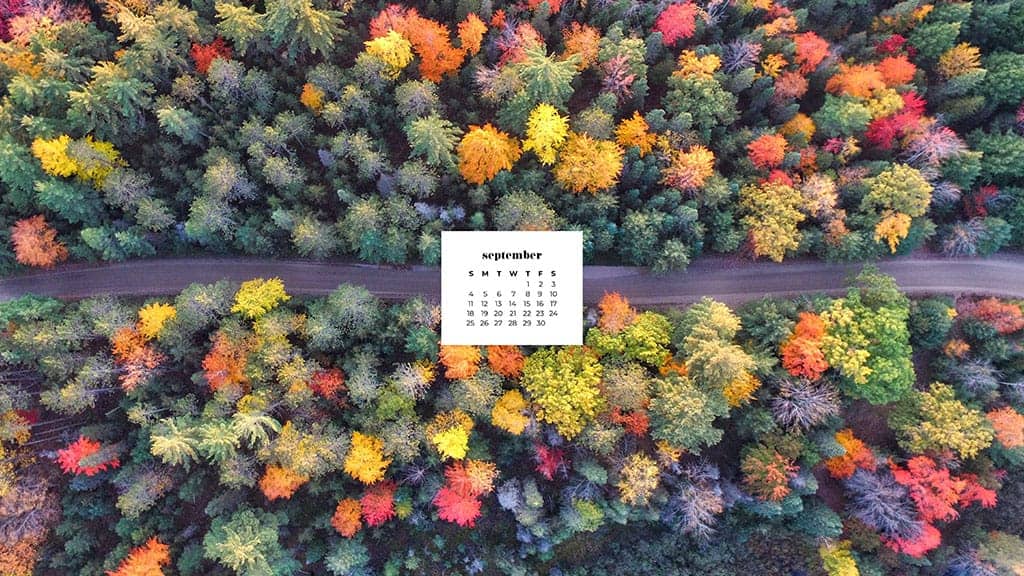 aerial view of fall trees in various colors September 2022 wallpapers – FREE calendars in Sunday & Monday starts + no-calendar designs. 55 beautiful options for desktop & smart phones!