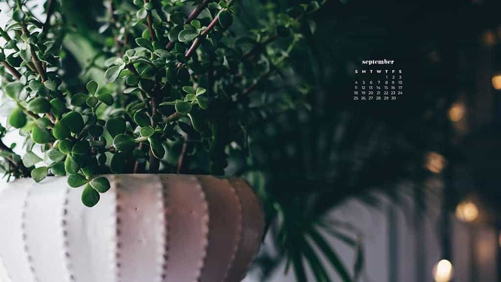 plants and fairy lights September 2022 wallpapers – FREE calendars in Sunday & Monday starts + no-calendar designs. 55 beautiful options for desktop & smart phones!