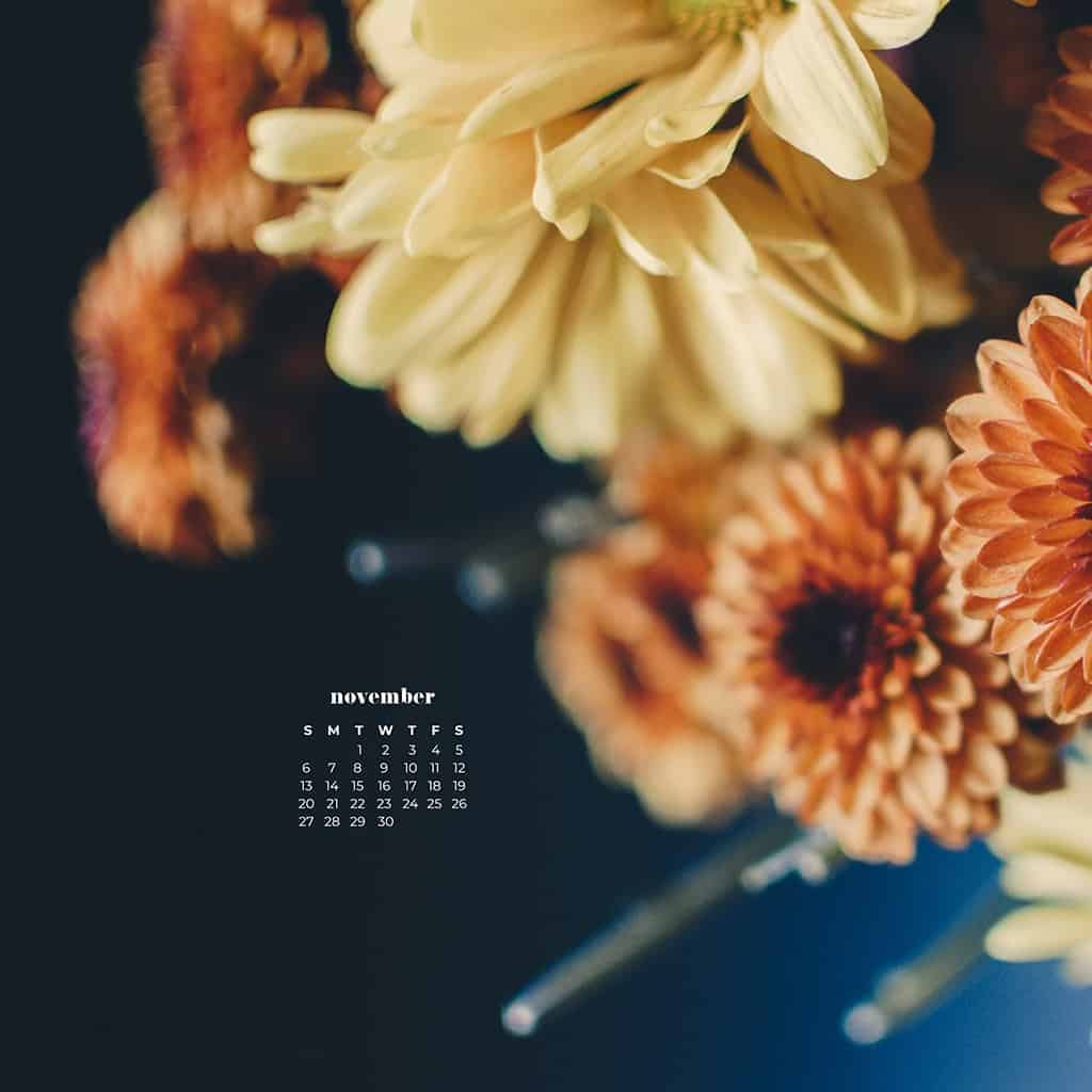 Download your November 2022 WallpaperCalendar  Your Paper Dreams