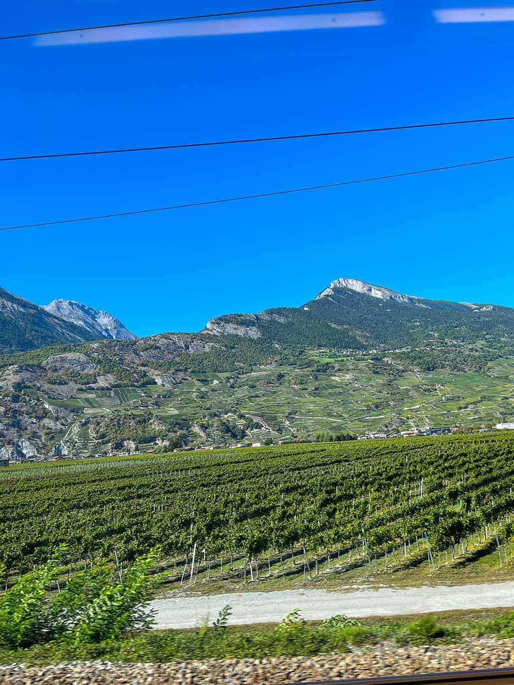 Train from Grindelwald Switzerland to Chamonix France