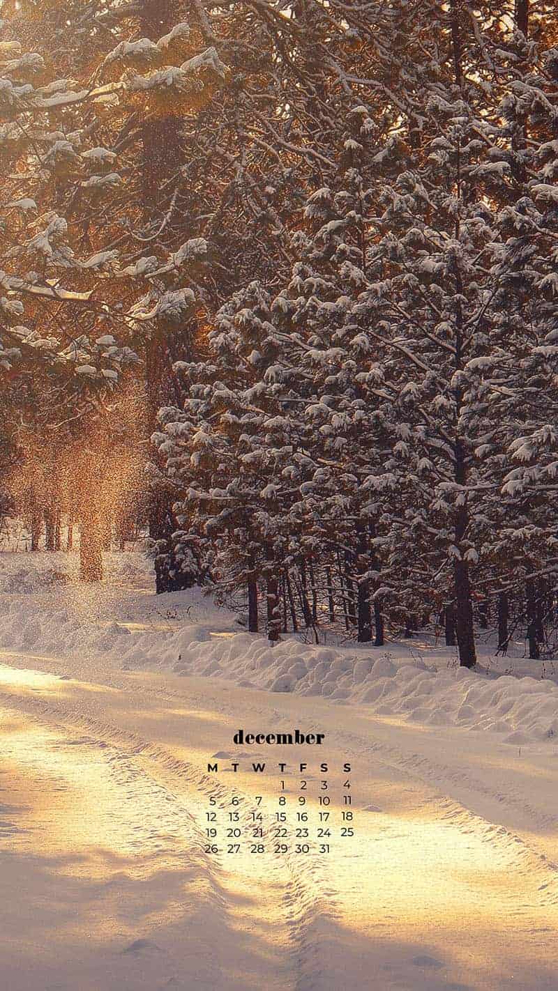 DECEMBER 2022 WALLPAPERS – 90 FREE PHONE &#038; DESKTOP CALENDARS!, Oh So Lovely Blog