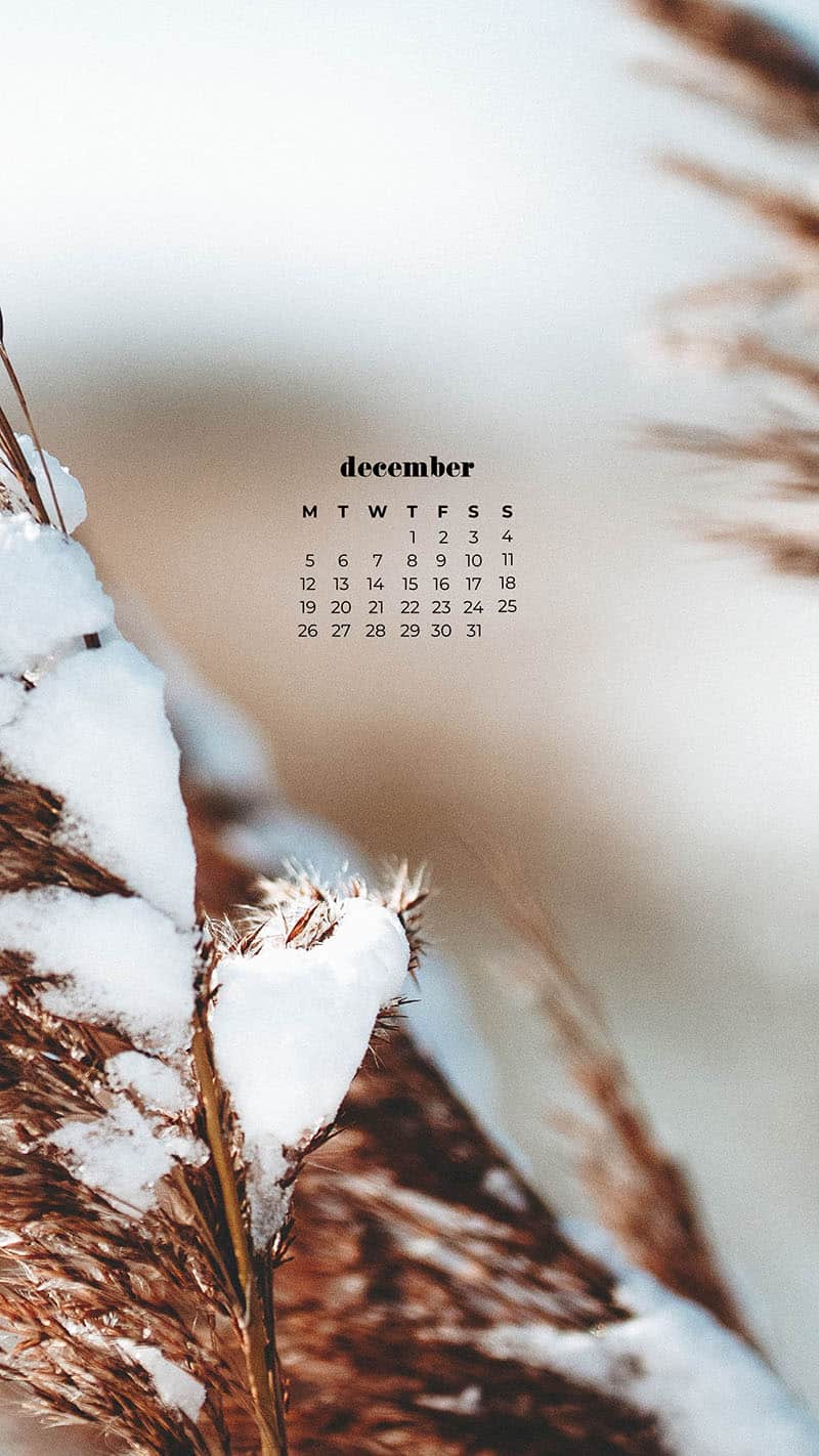 DECEMBER 2022 WALLPAPERS – 90 FREE PHONE &#038; DESKTOP CALENDARS!, Oh So Lovely Blog