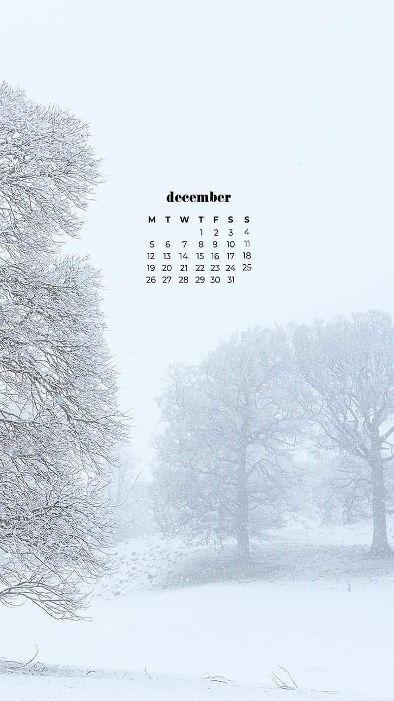 DECEMBER 2022 WALLPAPERS – 90 FREE PHONE &#038; DESKTOP CALENDARS!, Oh So Lovely Blog