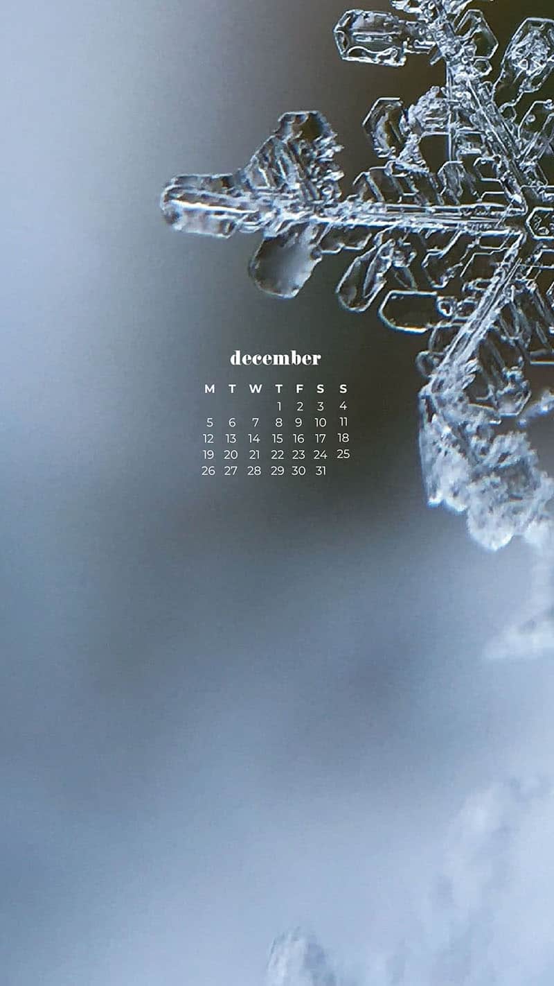 DECEMBER 2022 WALLPAPERS – 90 FREE PHONE &#038; DESKTOP CALENDARS!, Oh So Lovely Blog