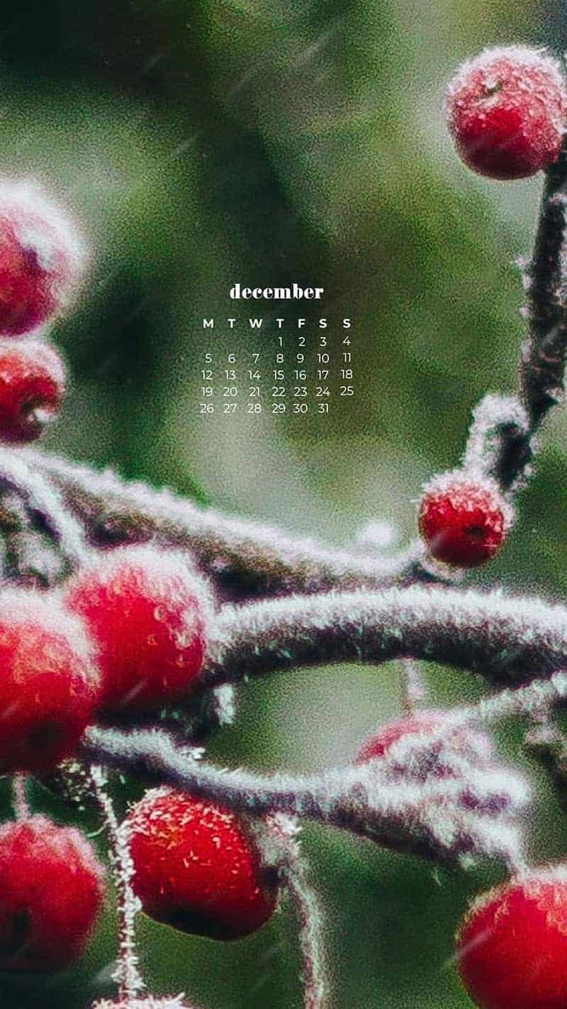 DECEMBER 2022 WALLPAPERS – 90 FREE PHONE &#038; DESKTOP CALENDARS!, Oh So Lovely Blog