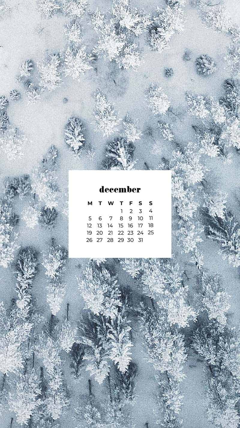 DECEMBER 2022 WALLPAPERS – 90 FREE PHONE &#038; DESKTOP CALENDARS!, Oh So Lovely Blog