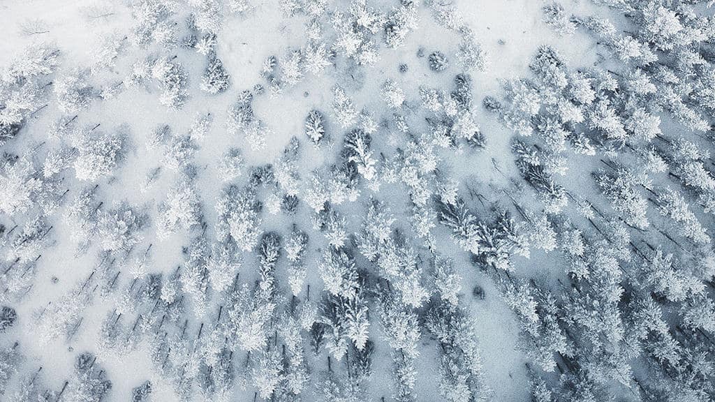 DECEMBER 2022 WALLPAPERS – 90 FREE PHONE &#038; DESKTOP CALENDARS!, Oh So Lovely Blog