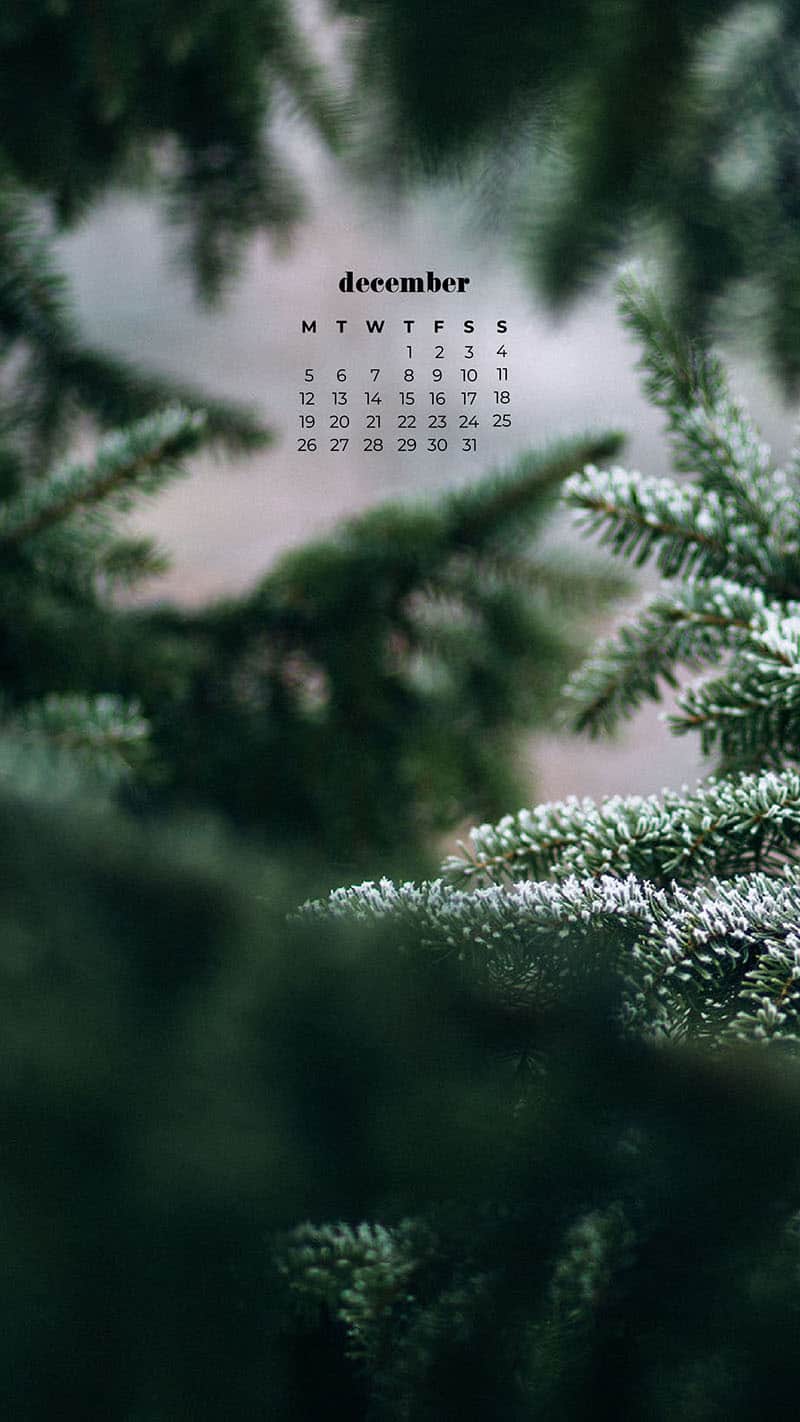 DECEMBER 2022 WALLPAPERS – 90 FREE PHONE &#038; DESKTOP CALENDARS!, Oh So Lovely Blog